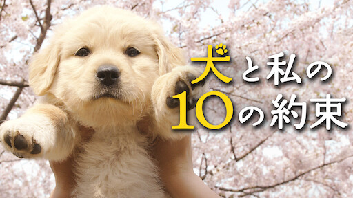 犬と私の10の約束 Netflix